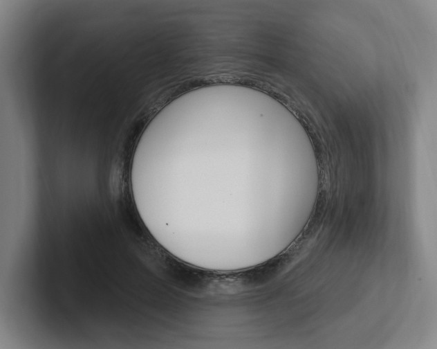 X0000102810599200808180954