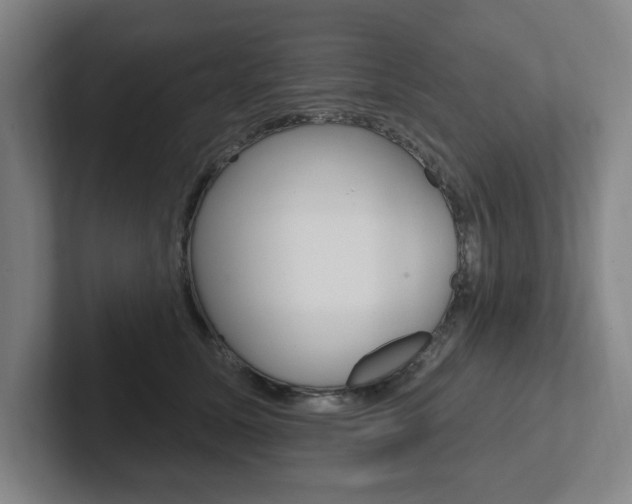 X0000102810611200808180954