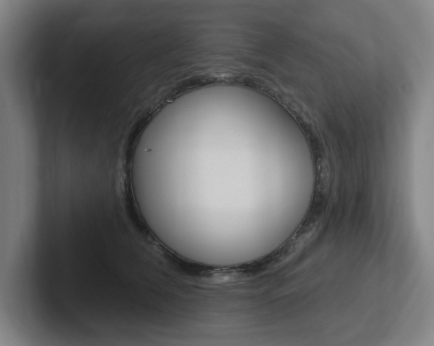 X0000102810612200808180954