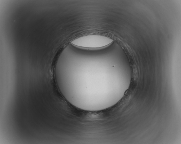 X0000102810613200808180954