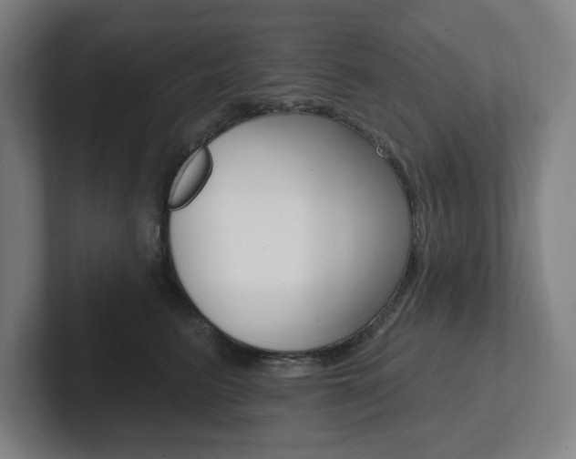 X0000102810615200808180954