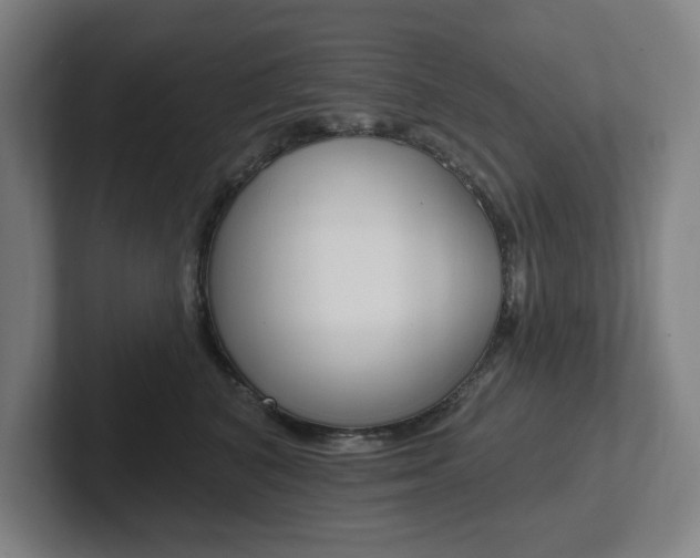 X0000102810616200808180954