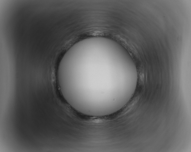 X0000102810620200808180954