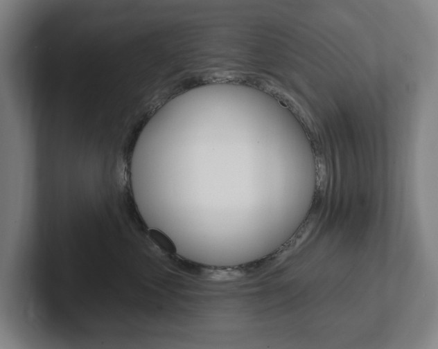 X0000102810621200808180954