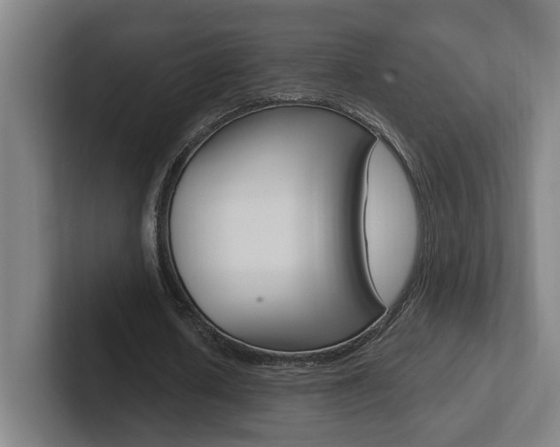 X0000102810626200808180953