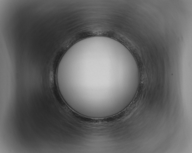 X0000102810646200808180954