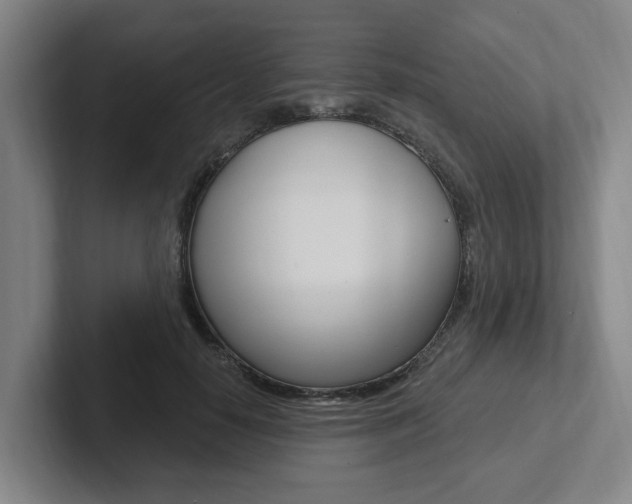 X0000102810650200808180954