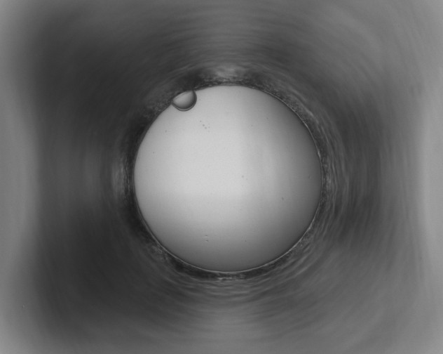 X0000102810651200808180954