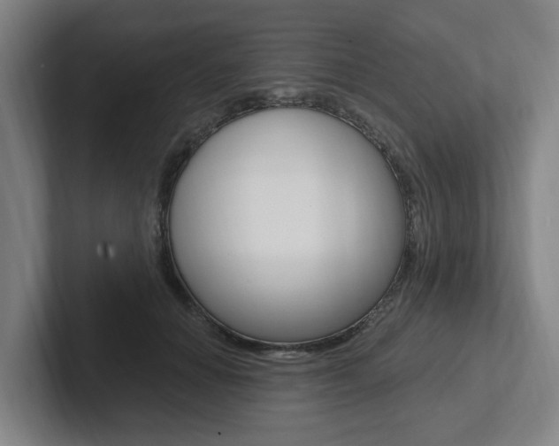 X0000102810654200808180954