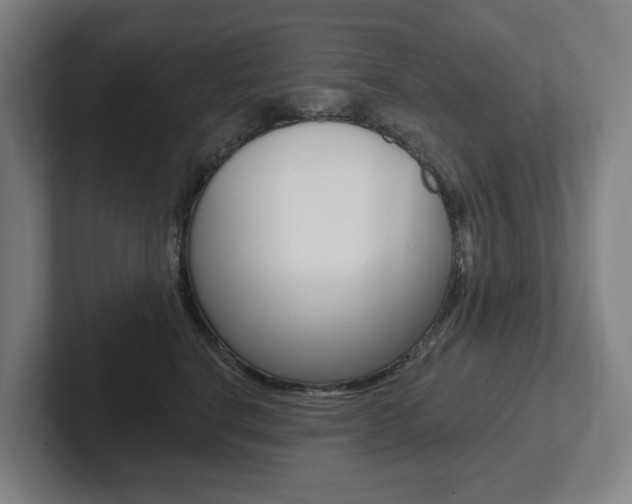 X0000102810664200808180954