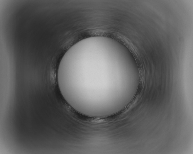 X0000102810669200808180954