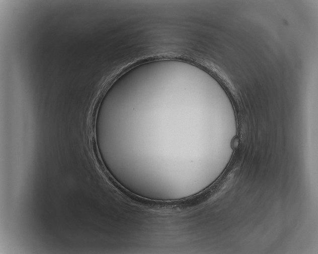 X0000102810673200808180953