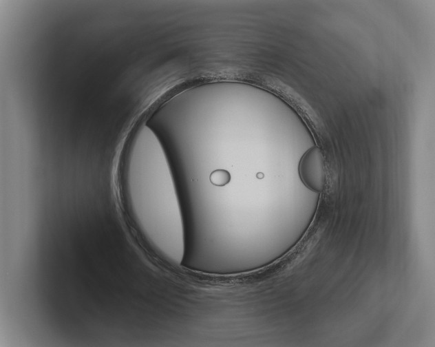 X0000102810674200808180953