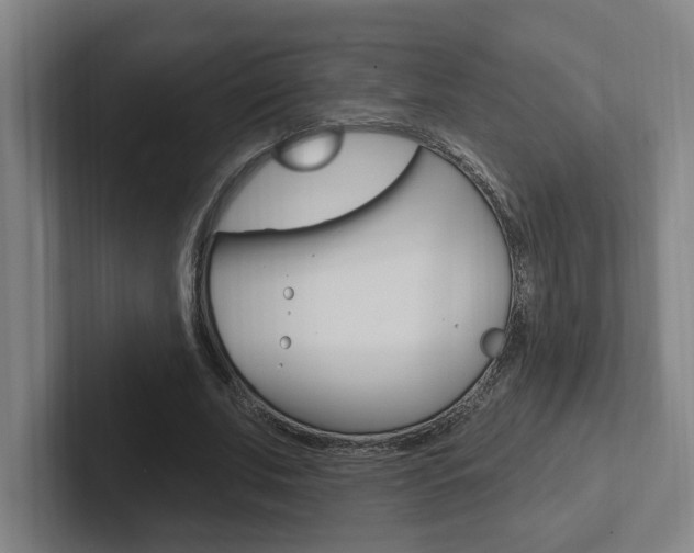 X0000102810679200808180953