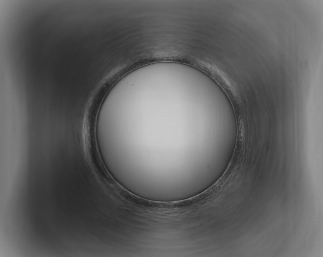 X0000102810684200808180953