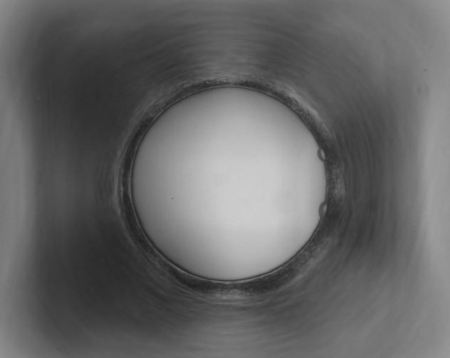 X0000102810685200808180953