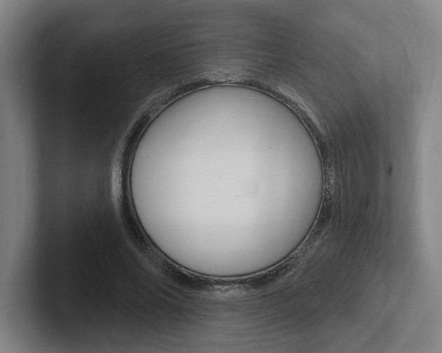 X0000102810686200808180953