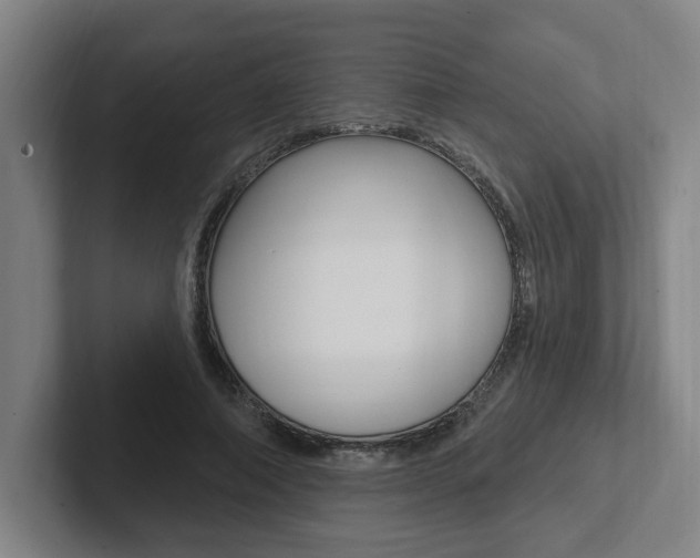 X0000102810690200808180953