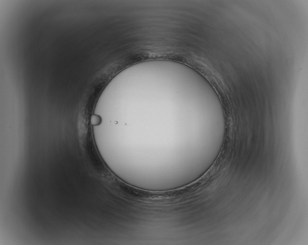 X0000102810691200808180953