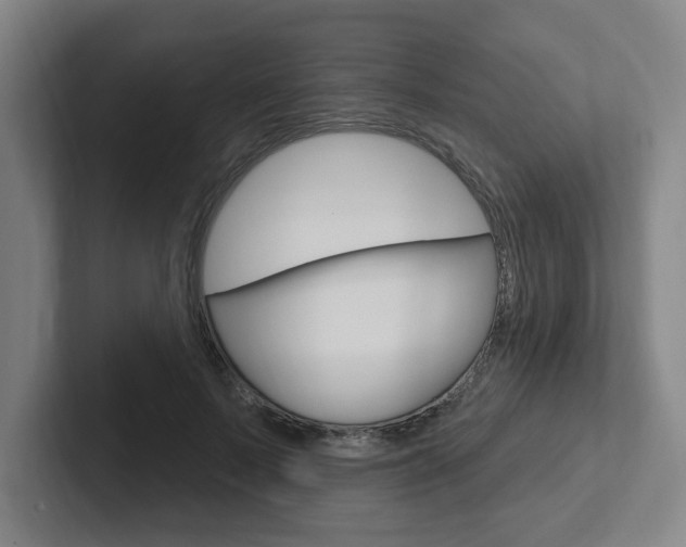 X0000102810695200808180953