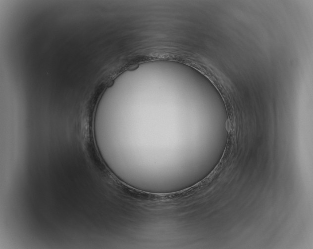 X0000102810696200808180953