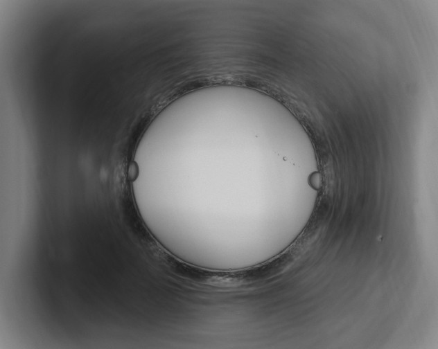 X0000102810699200808180953