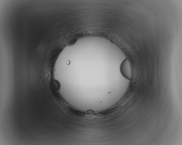 X0000102810703200808180953