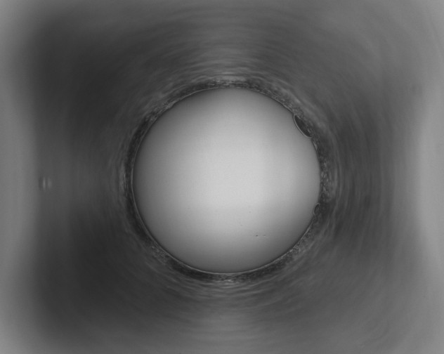 X0000102810704200808180953