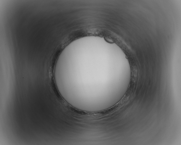 X0000102810707200808180953