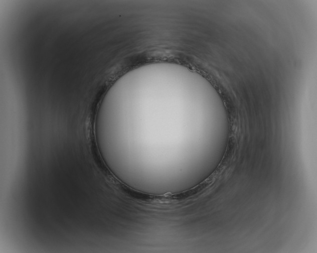 X0000102810708200808180953