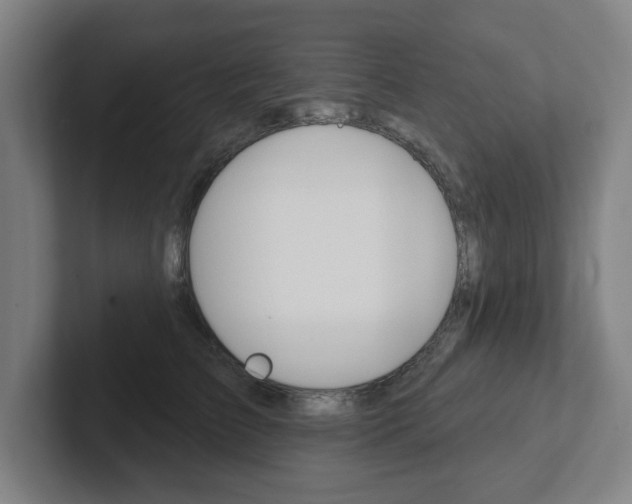 X0000102810709200808180953