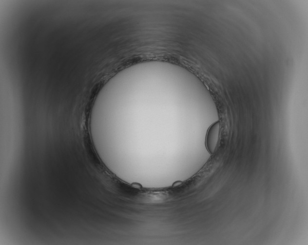 X0000102810711200808180953