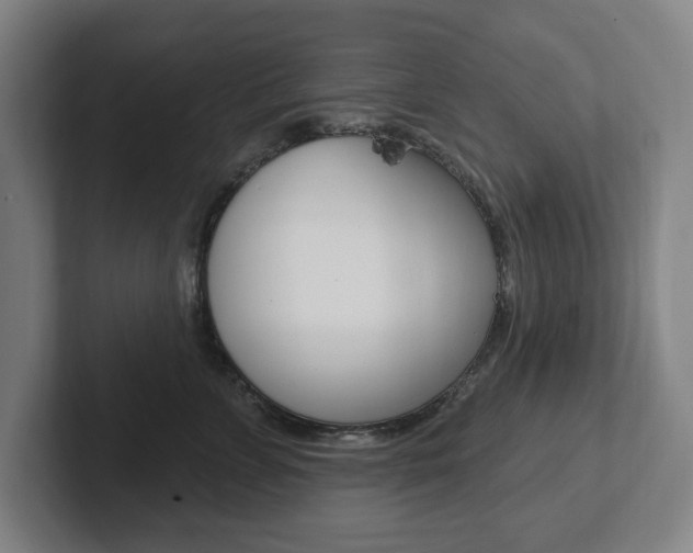 X0000102810715200808180953