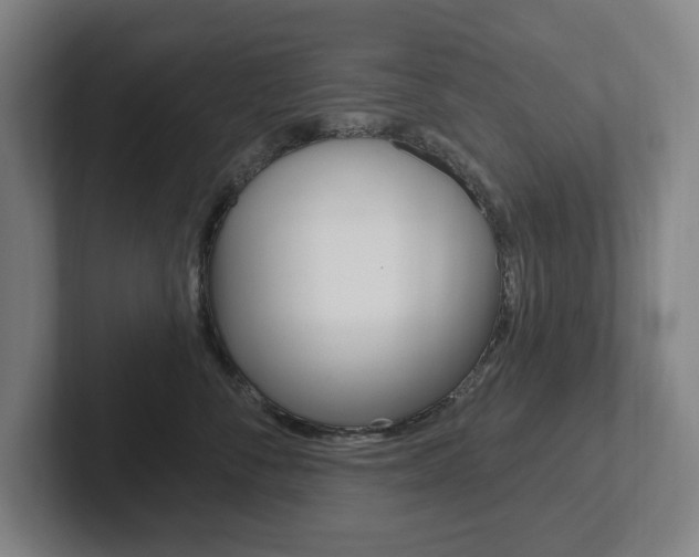 X0000102810716200808180953