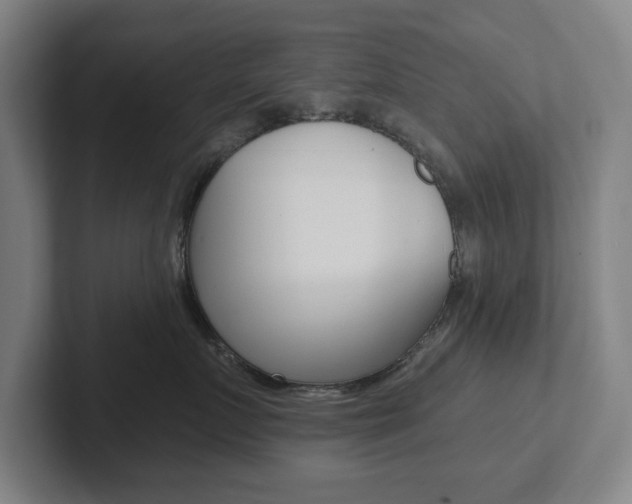 X0000102810719200808180953