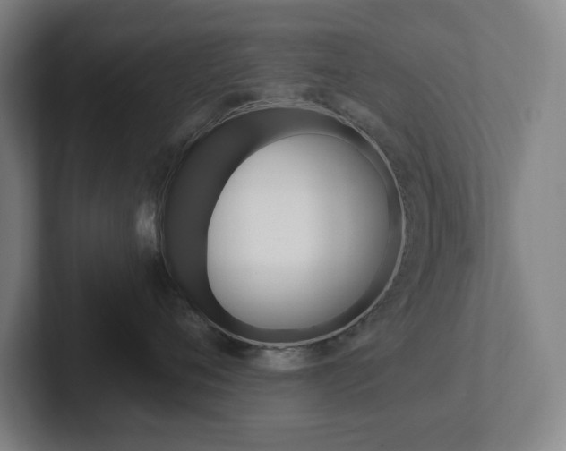 X0000102810720200808180953