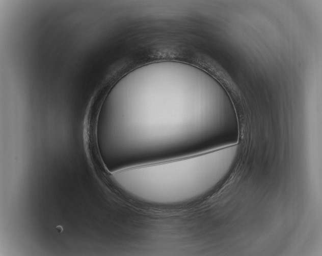 X0000102810722200808180952