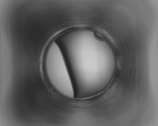 X0000102810724200808180952