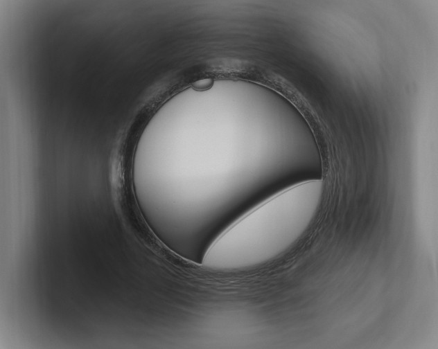 X0000102810731200808180952