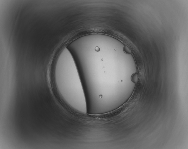 X0000102810734200808180952