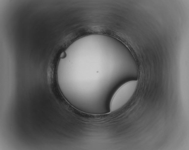 X0000102810739200808180952