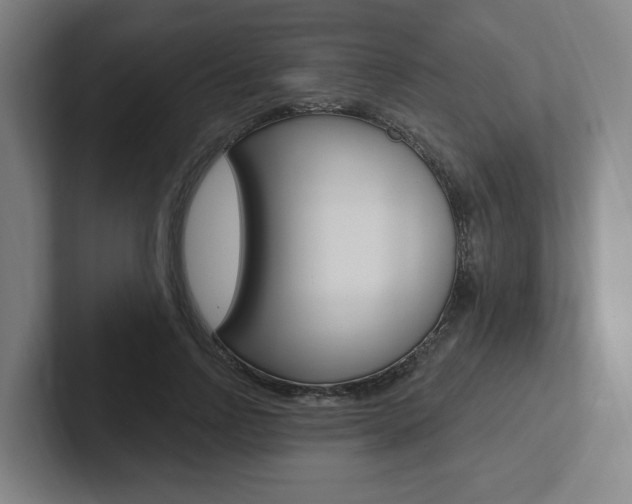 X0000102810742200808180952