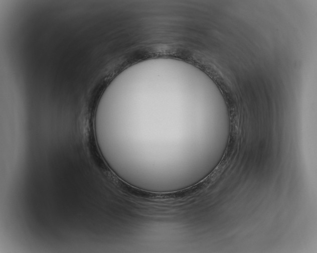 X0000102810746200808180952