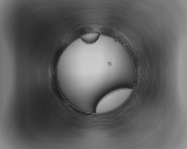 X0000102810747200808180952