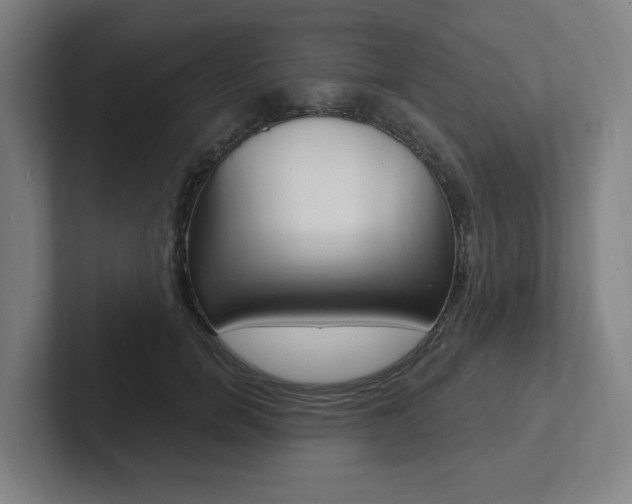 X0000102810750200808180952