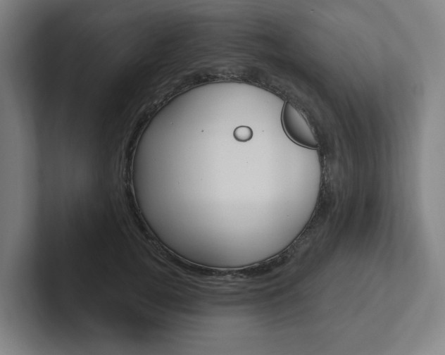 X0000102810752200808180952