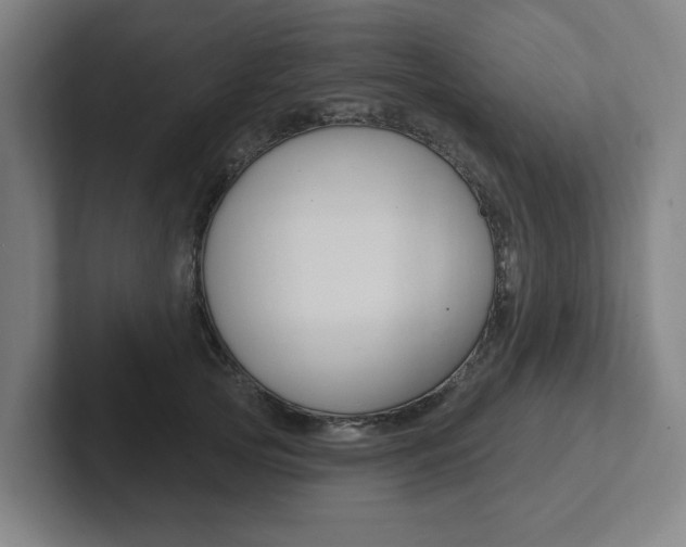 X0000102810753200808180952