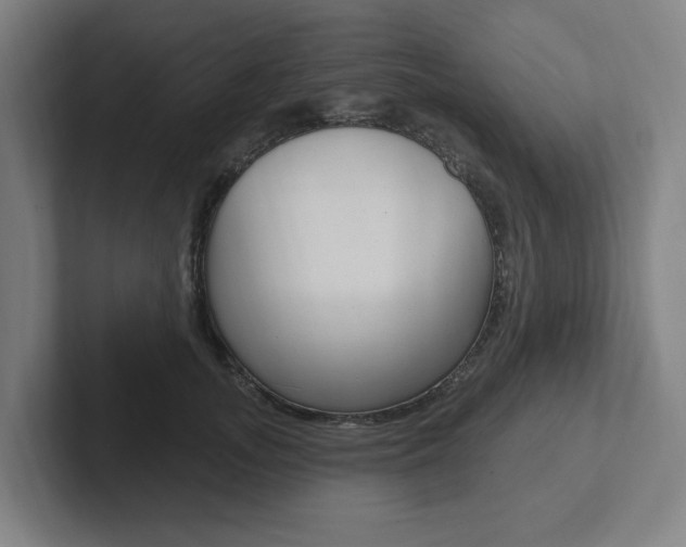 X0000102810755200808180953