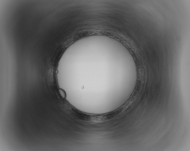 X0000102810757200808180953