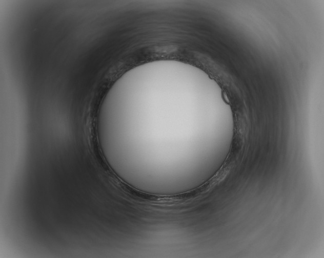 X0000102810758200808180953